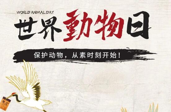 素時刻丨保護(hù)動物，從素食開始