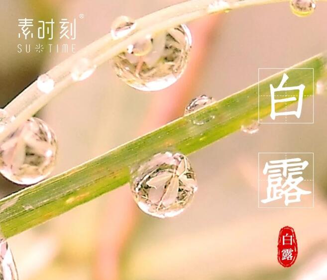 二十四節氣丨白露養生，養氣潤燥勿露身